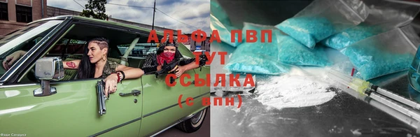 индика Красноперекопск
