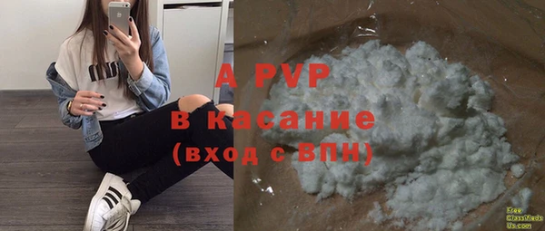 ГАЛЛЮЦИНОГЕННЫЕ ГРИБЫ Коряжма