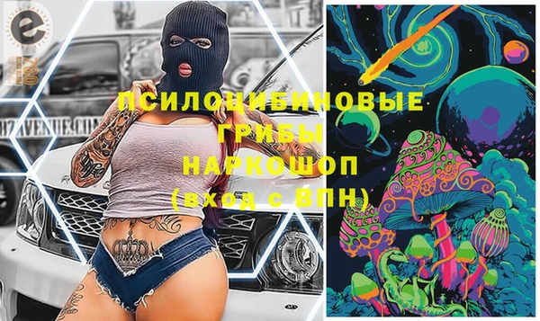 сатива Кукмор