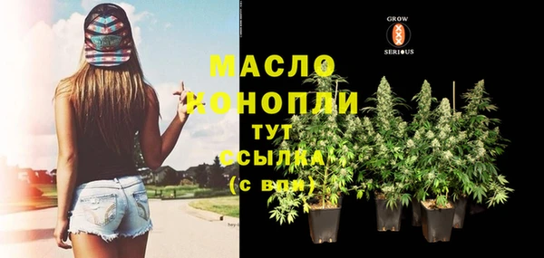 индика Красноперекопск