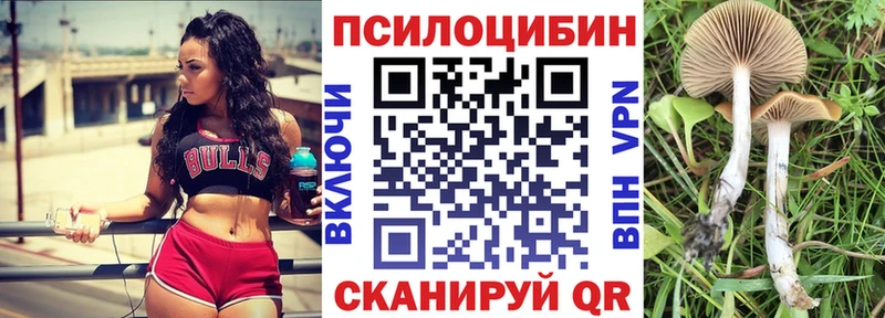 Галлюциногенные грибы MAGIC MUSHROOMS  как найти закладки  Медвежьегорск 